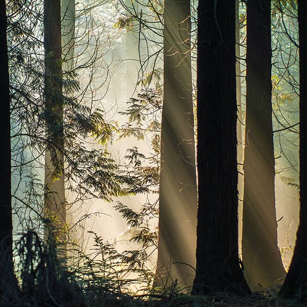 sunday dub blamstrain 