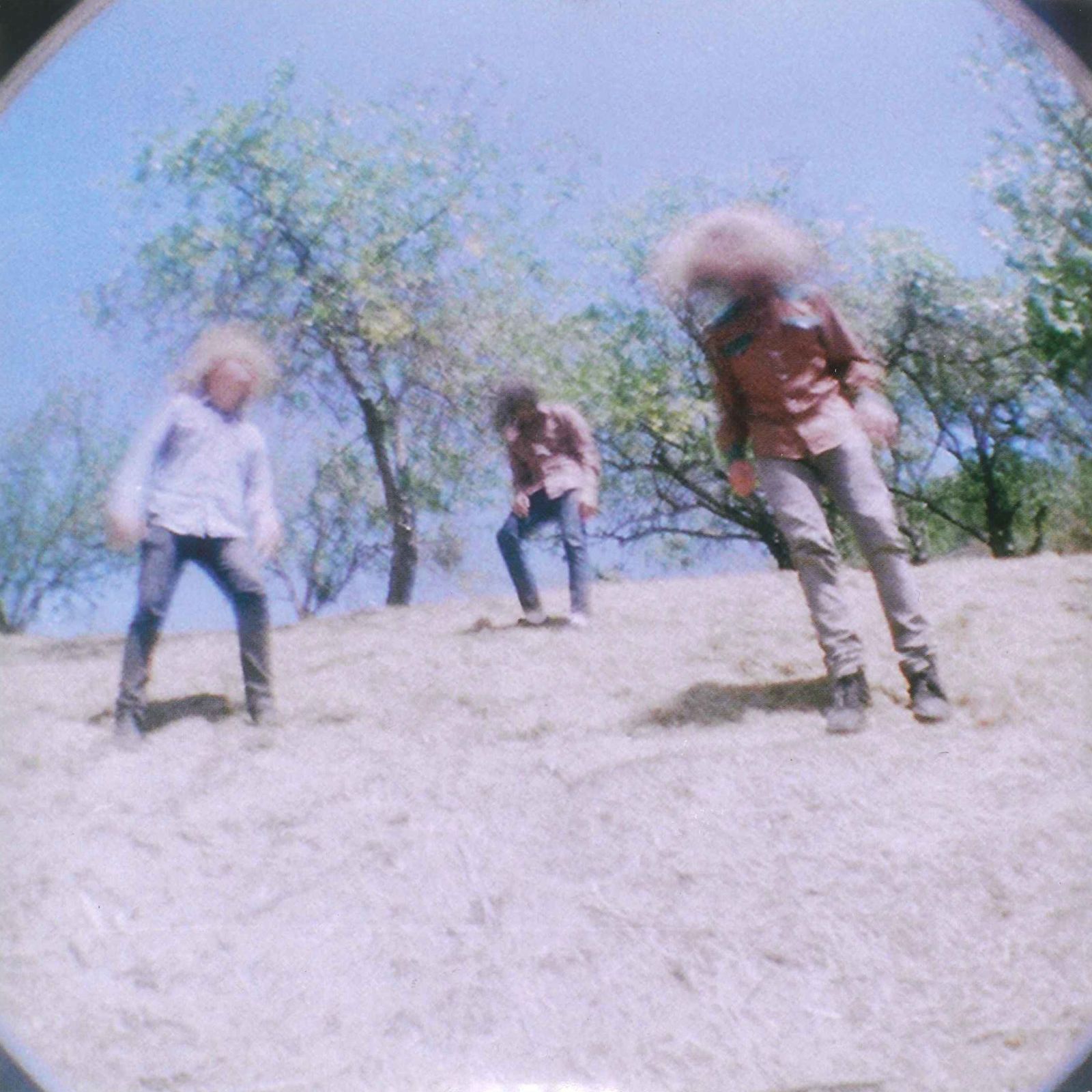 sunderberry dream fuzz 