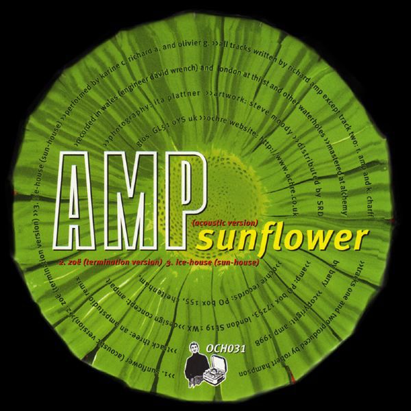 sunflower amp  