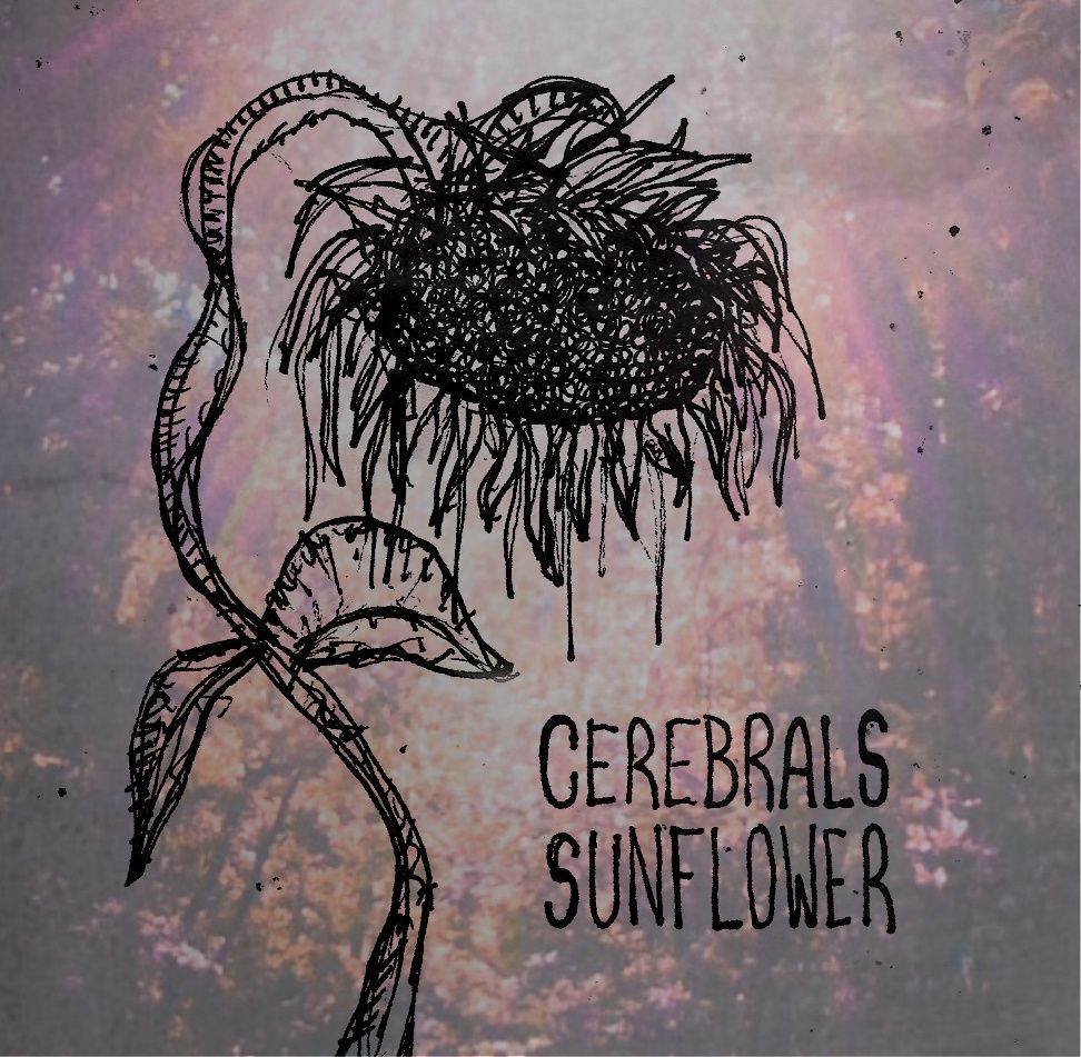 sunflower cerebrals 