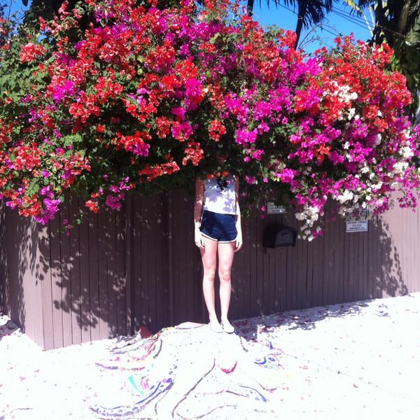 sunlight on the moon elf power 