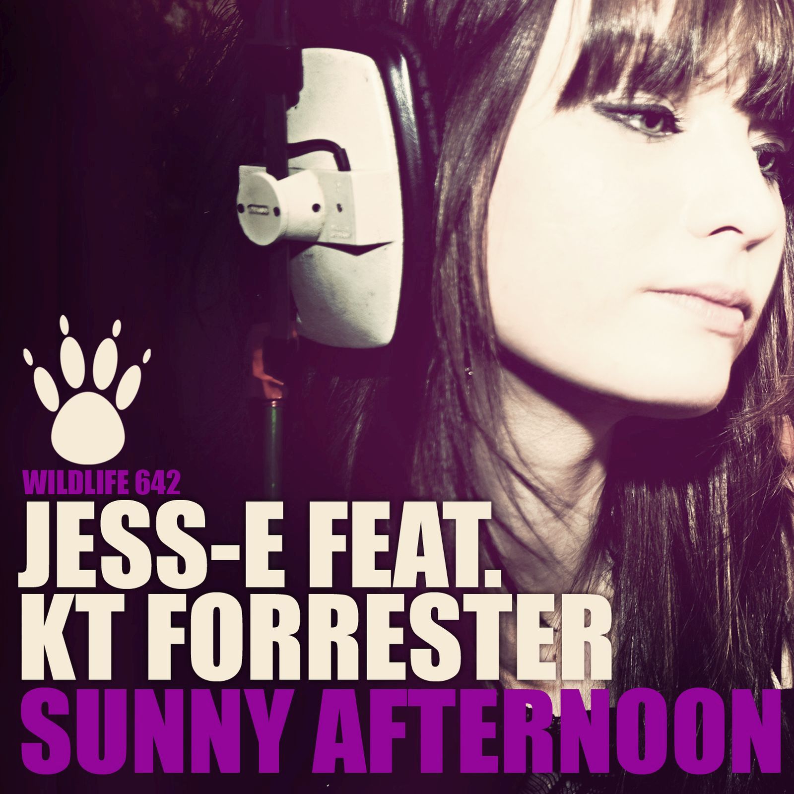 sunny afternoon jess e  