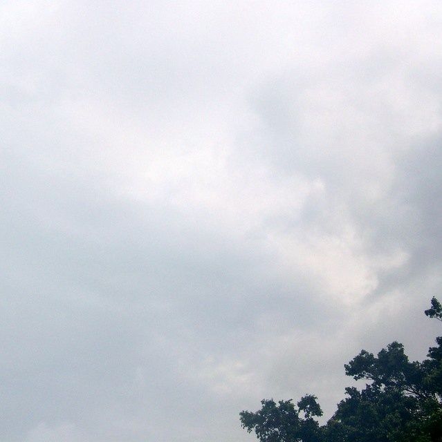 sunny november jacob rodriguez 