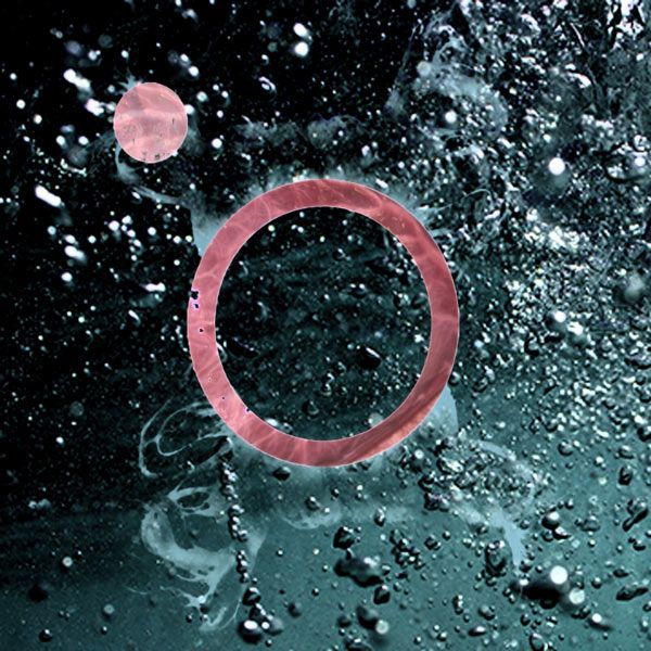 superposition gang pet moon 