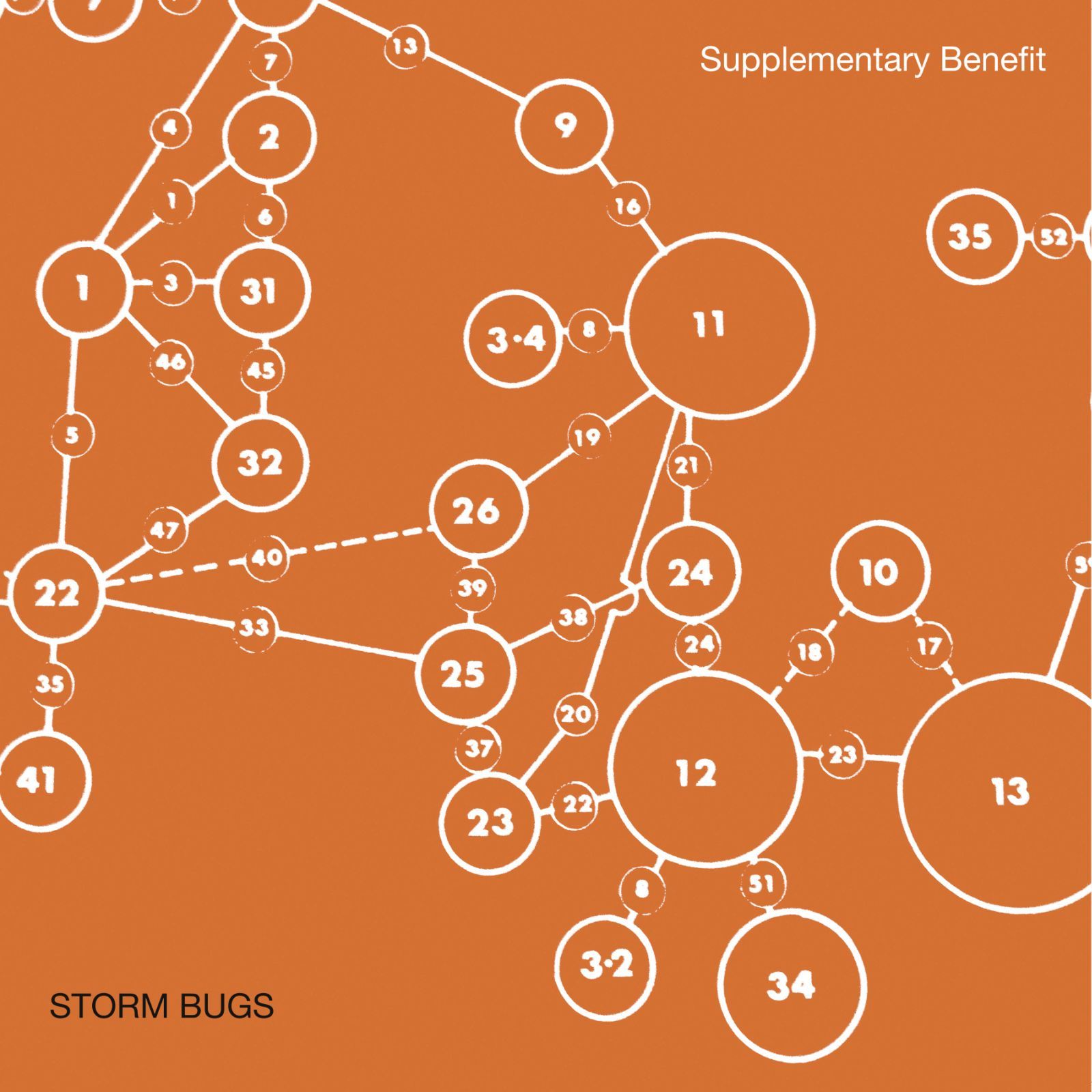 supplementary benefi storm bugs 