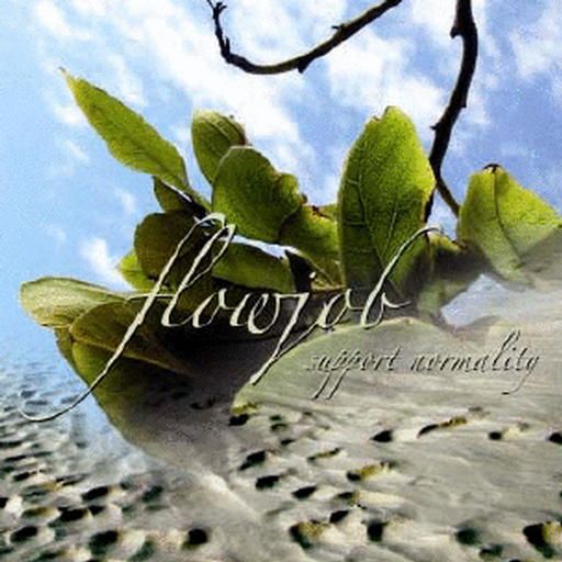 support normality flowjob 