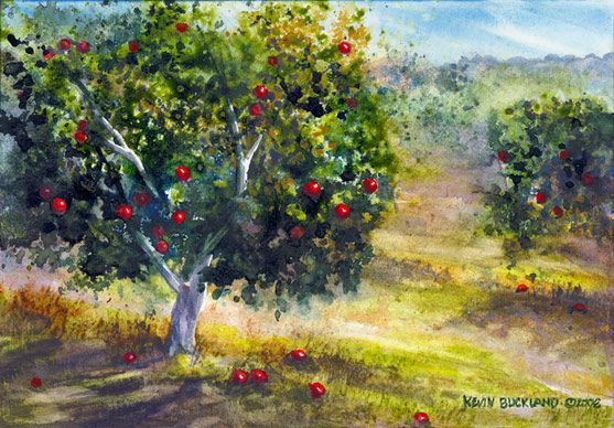 support the orchard the apple scruffs 