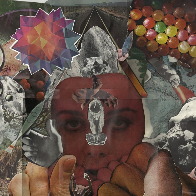 supreme happiness fo troy schafer 