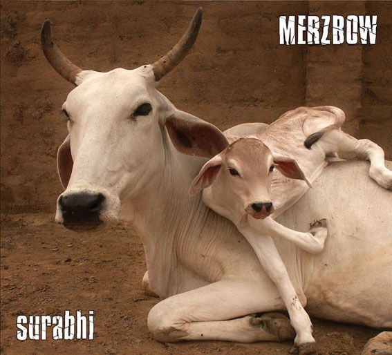 surabhi merzbow 