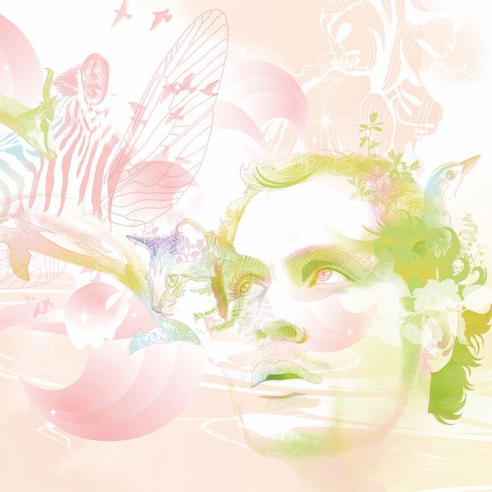 surf boundaries christopher willits 