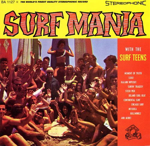 surf mania the surf teens  