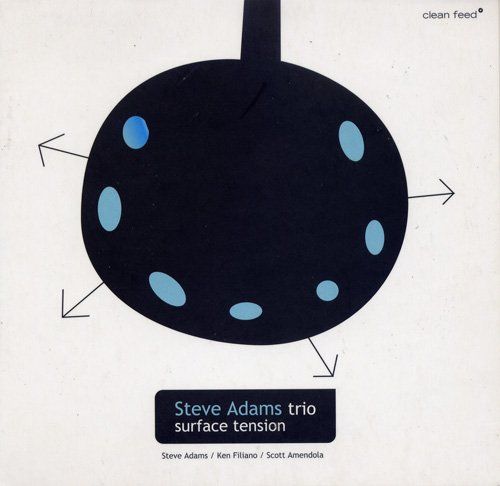 surface tension steve adams 