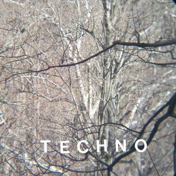 surfers hymn panda bear  