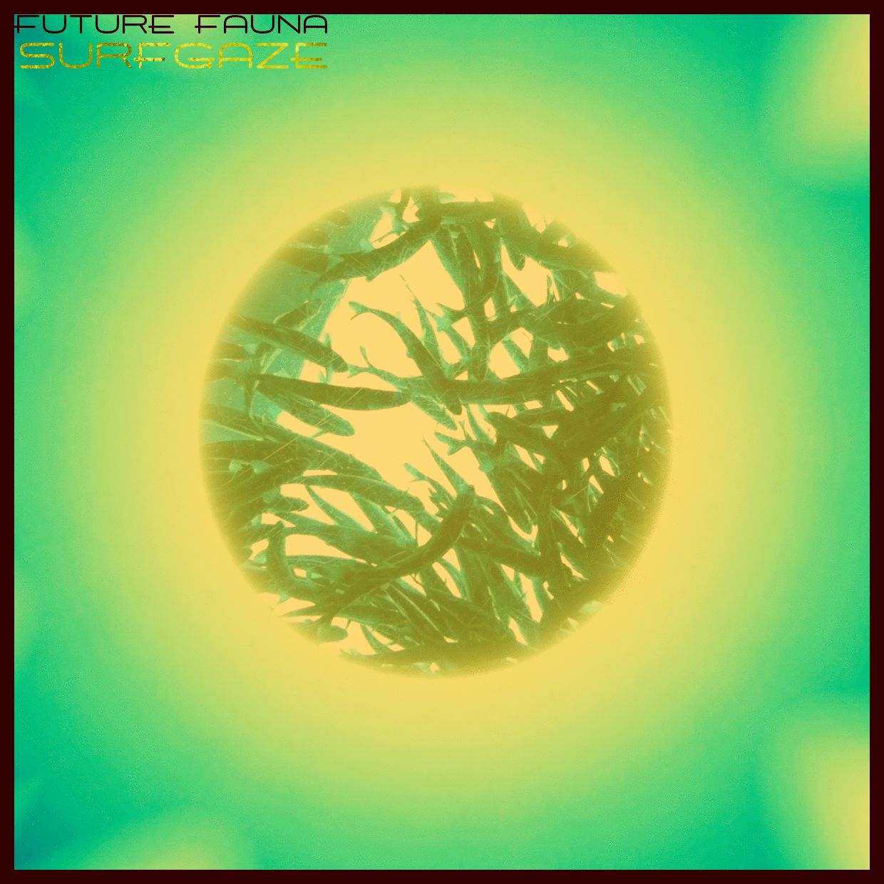 surfgaze future fauna 