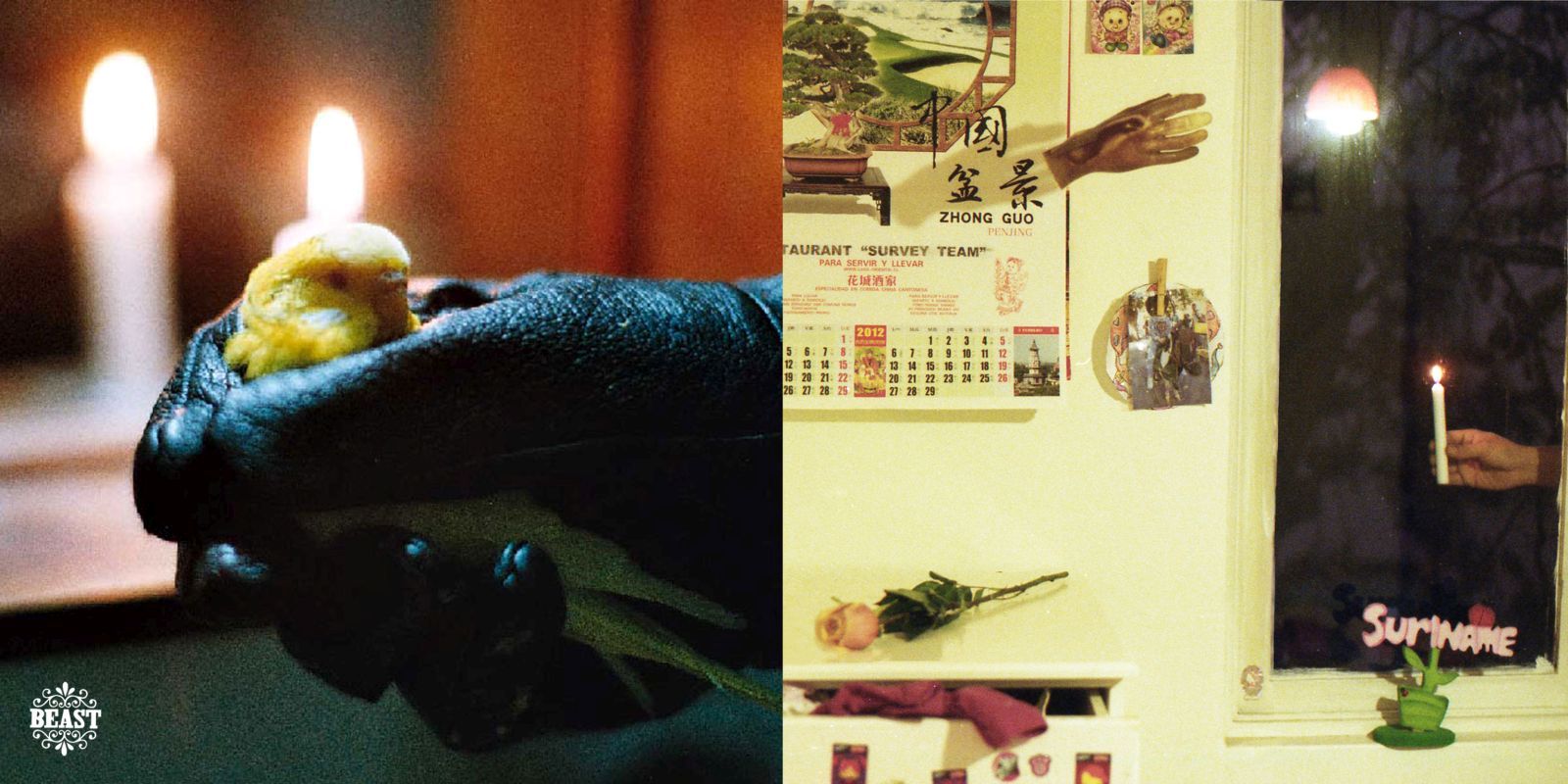 suriname survey team  