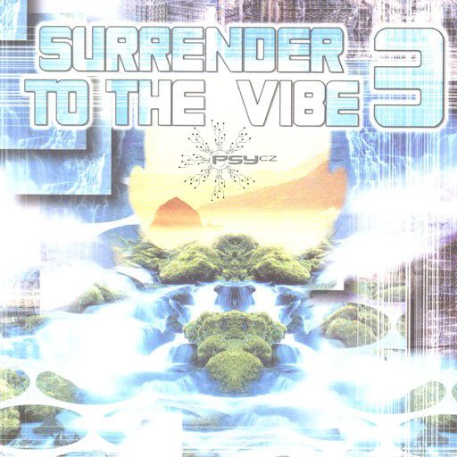 surrender to the vib anamist 
