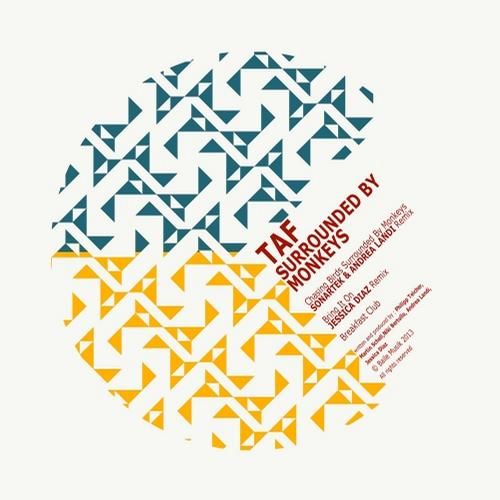 surrounded by monkey taf  