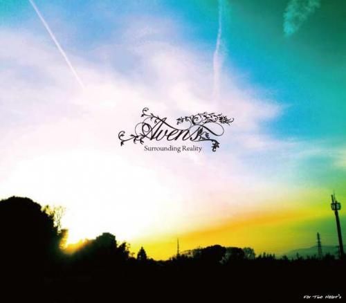 surrounding reality avens  