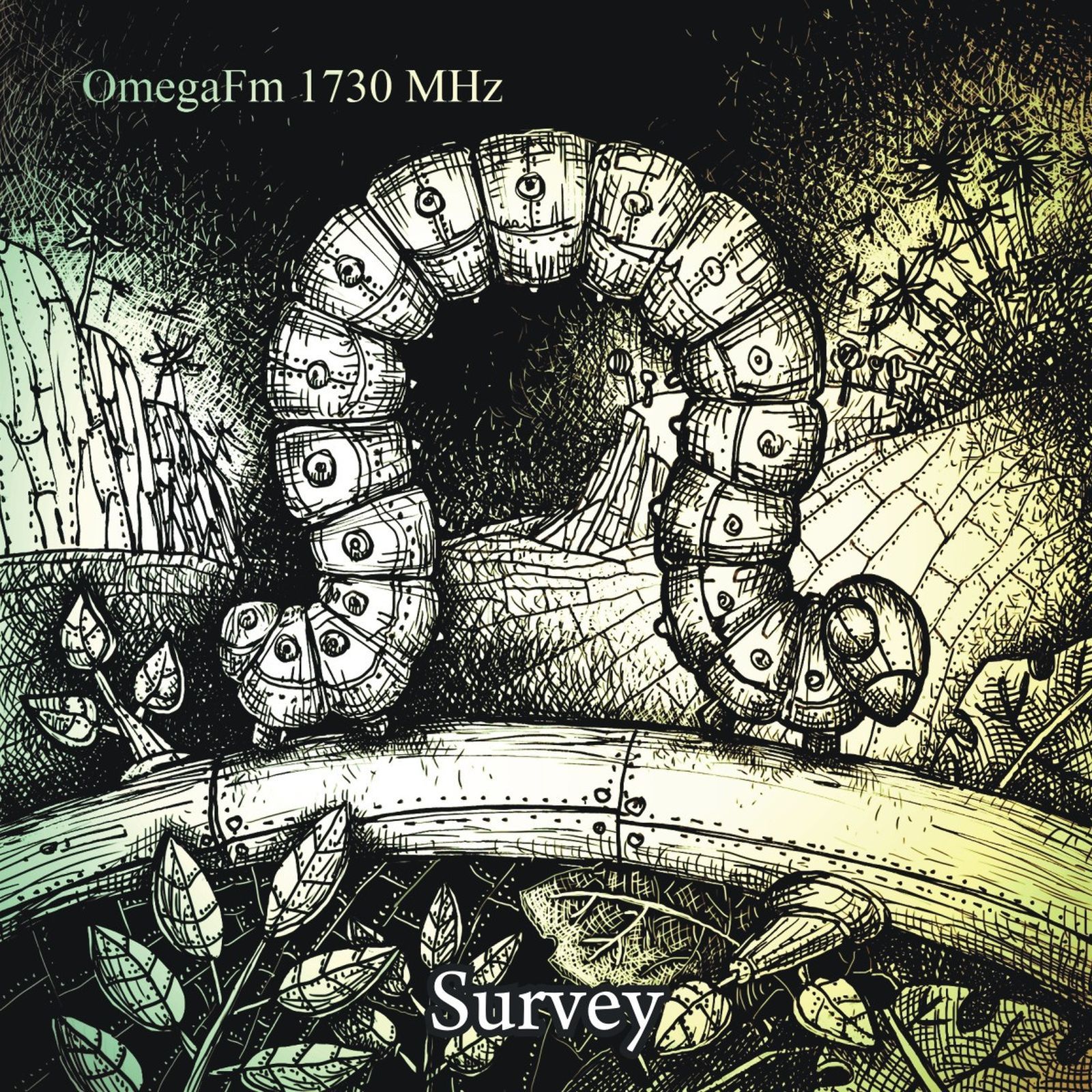 survey omegafm 1730 mhz 