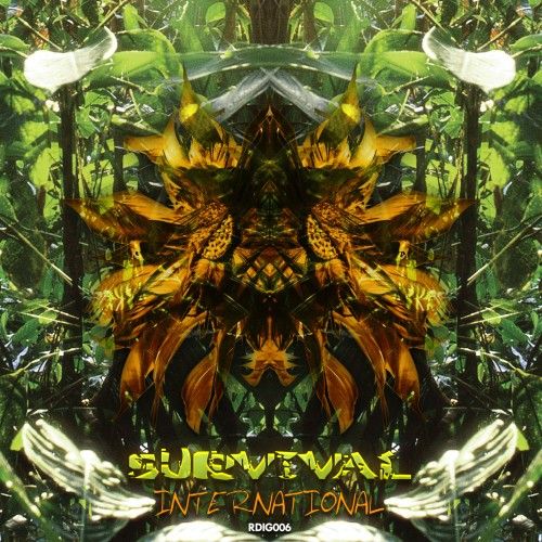 survival internation alexander daf 