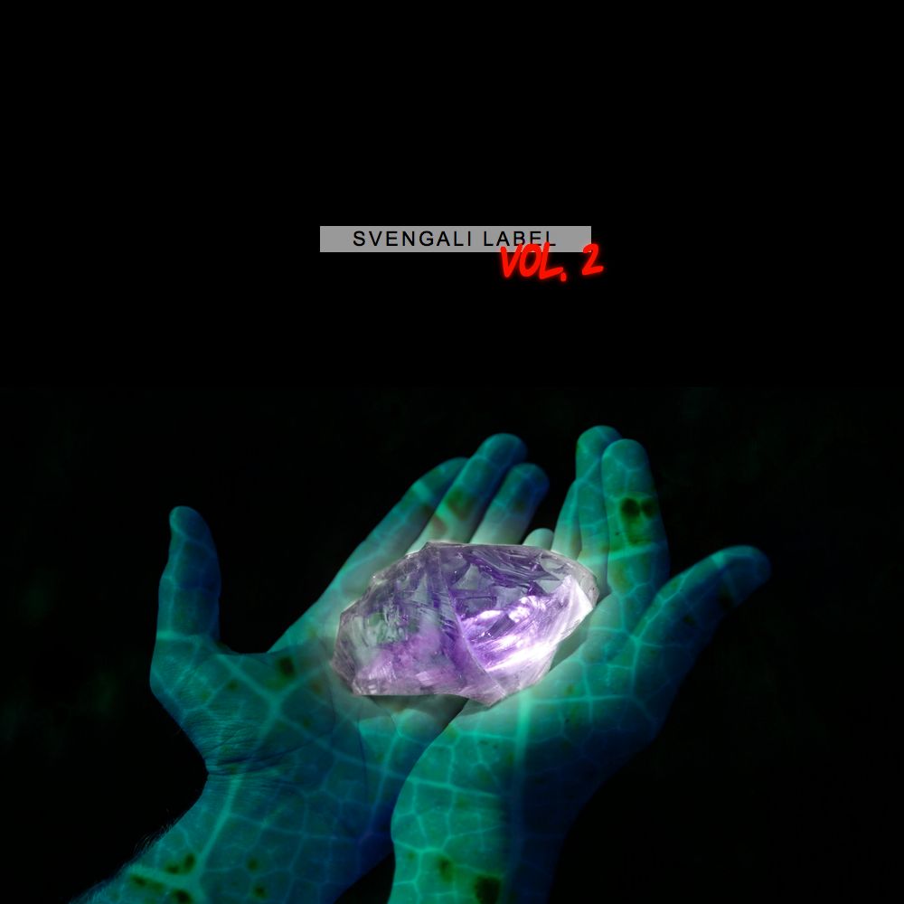 svengali vol2 different sleep 