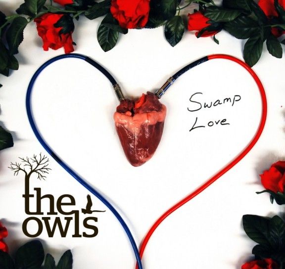 swamp love the owls  