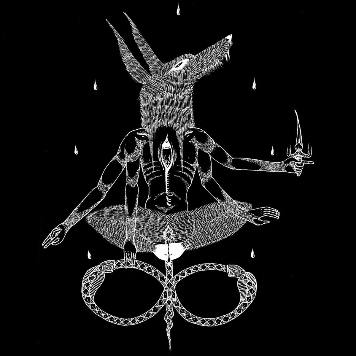 swamp lung swamp lung 