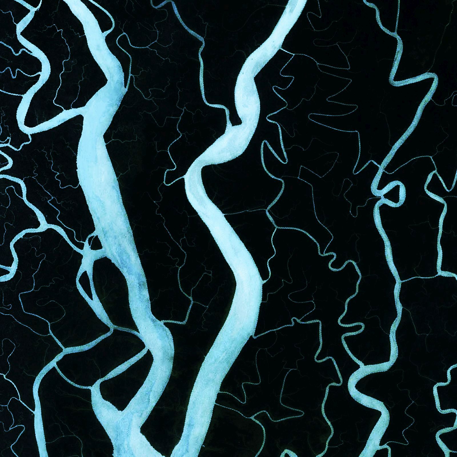 swamp sonic primitive 