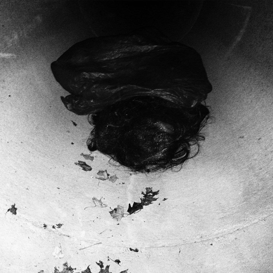 swampglaze swamp glaze 