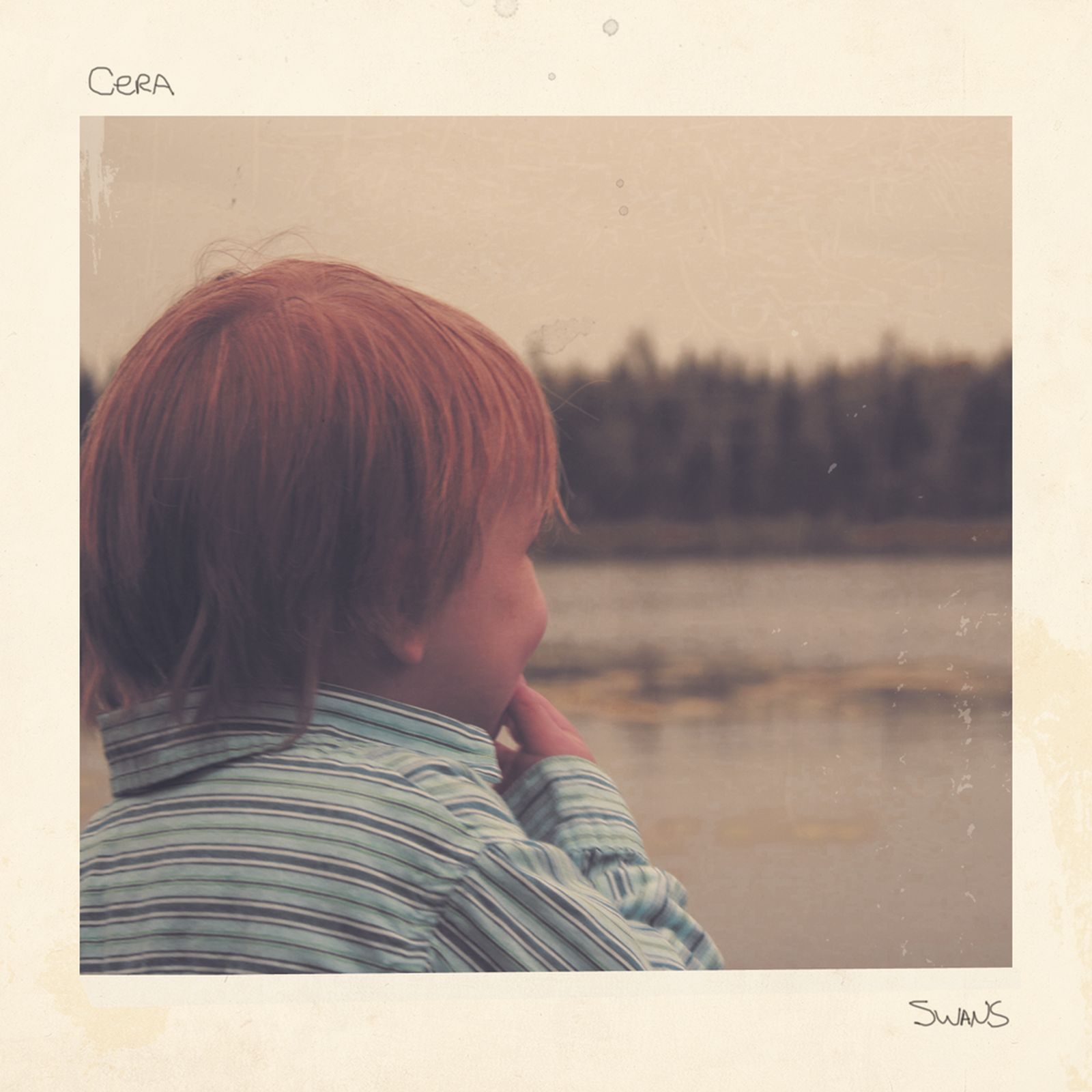 swans cera 