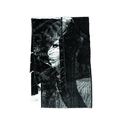 swans the rational academy 