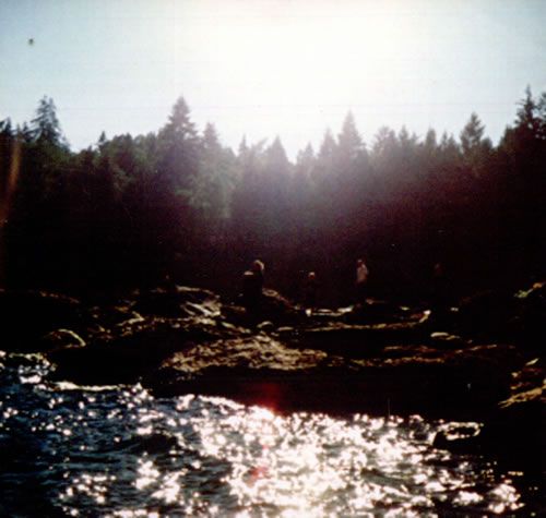 sweatbees my morning jacket 