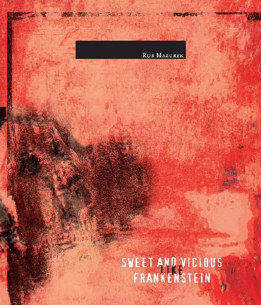 sweet and vicious li rob mazurek 