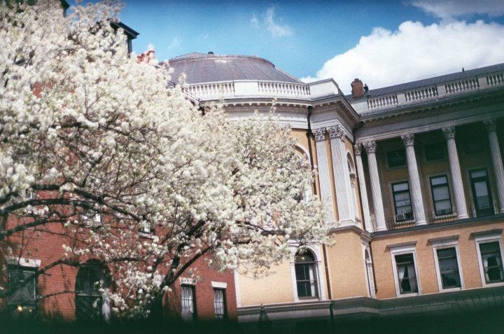 sweet dreams mall kids 