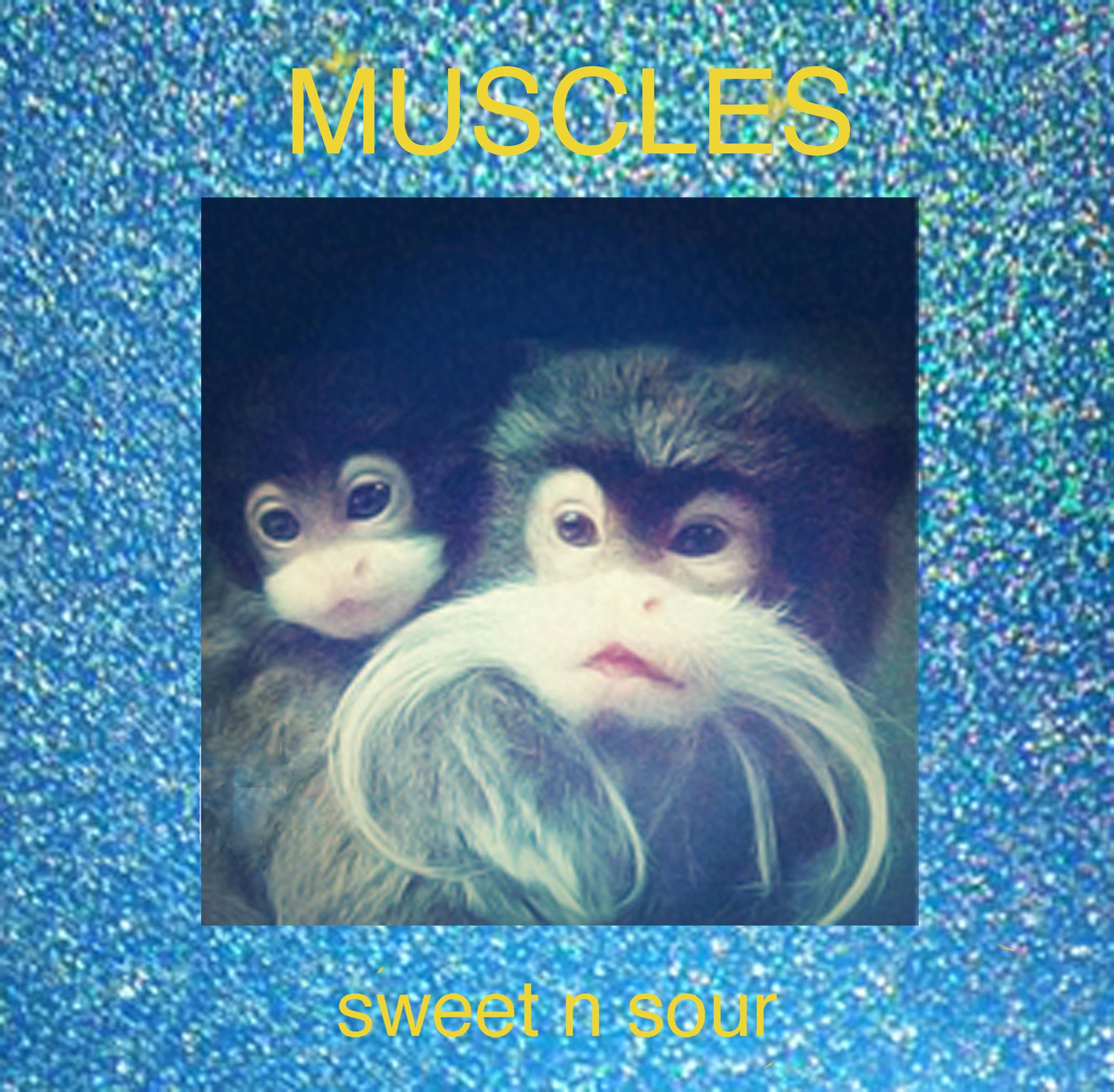 sweet n sour mvscles 