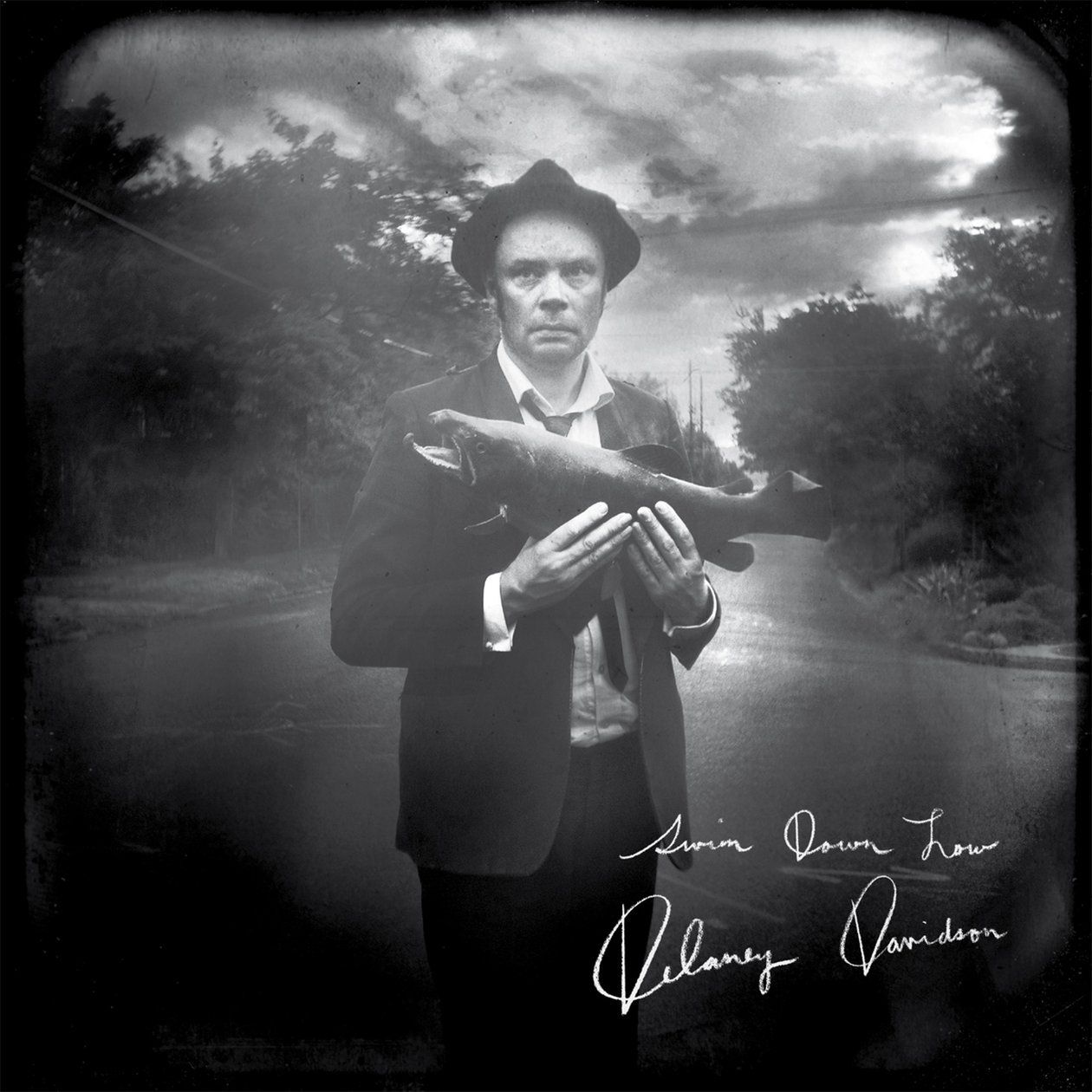 swim down low delaney davidson 