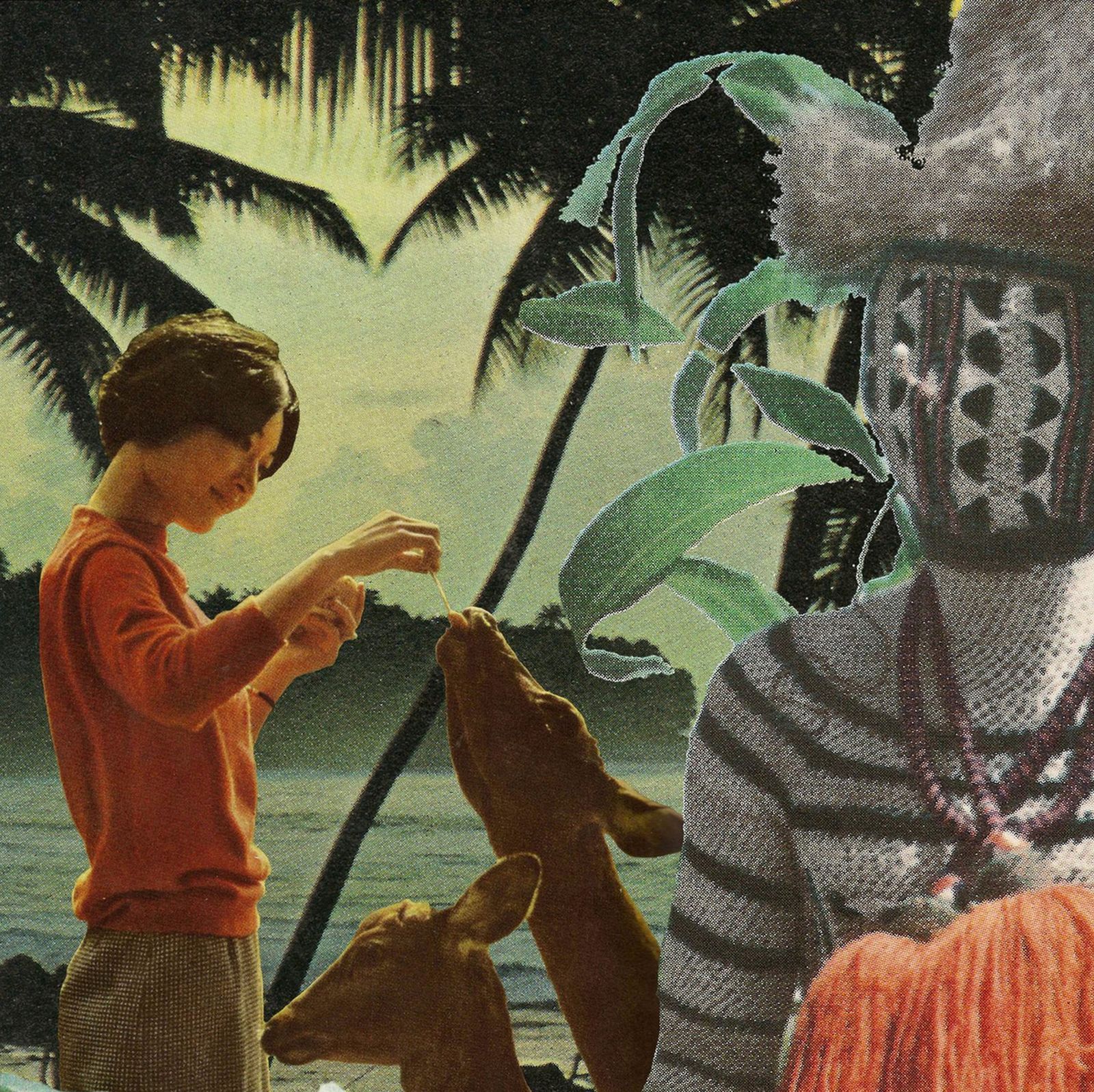 swim trunks cliffsides 