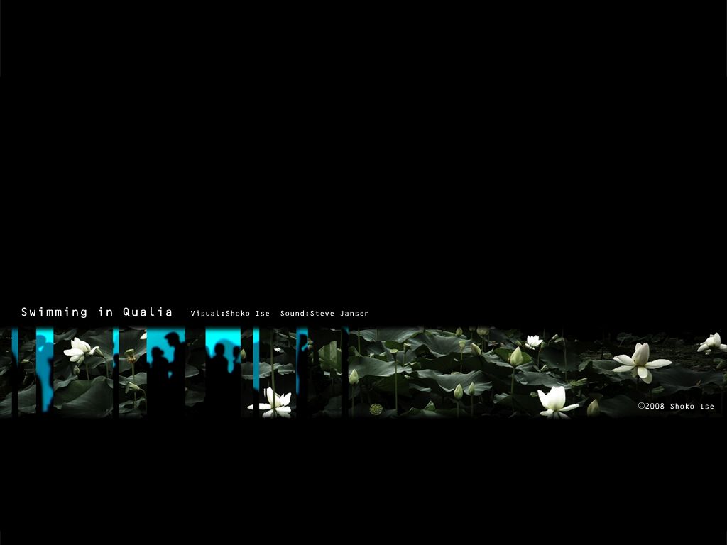 swimming in qualia steve jansen 