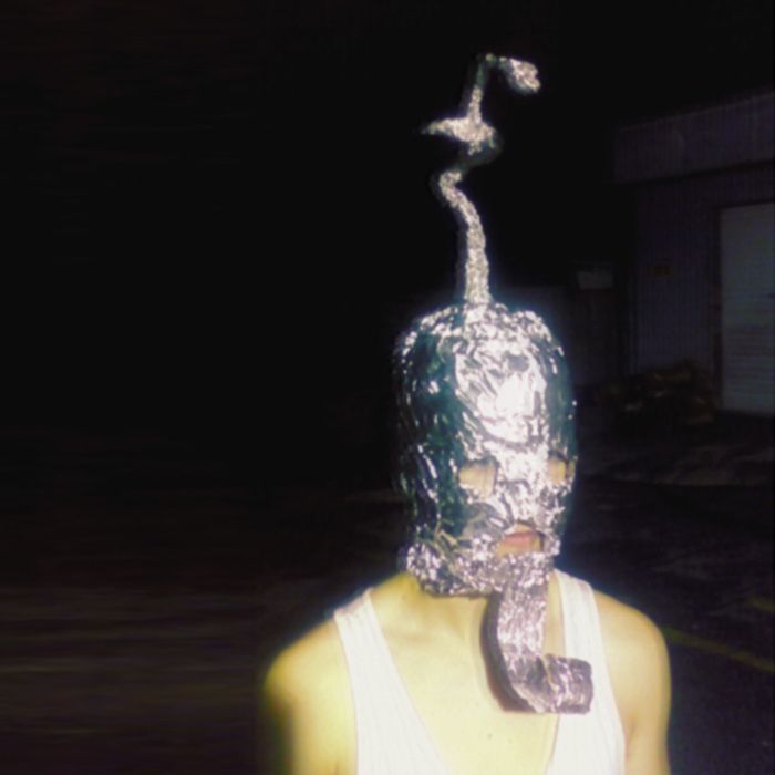 swimming shark exact index  