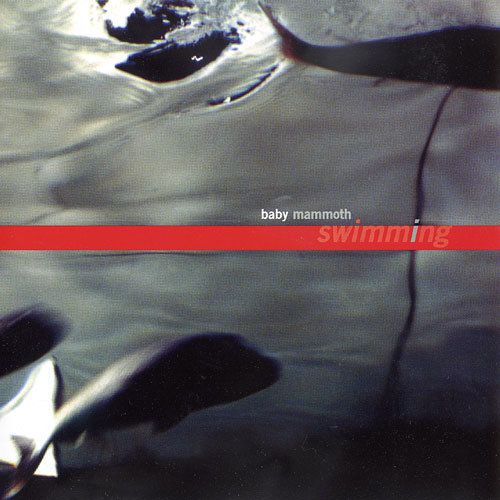 swimming baby mammoth 