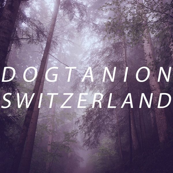 switzerland dogtanion 