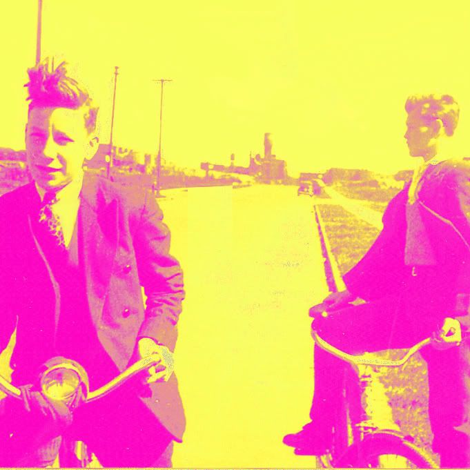 swung from the branc foxes in fiction 