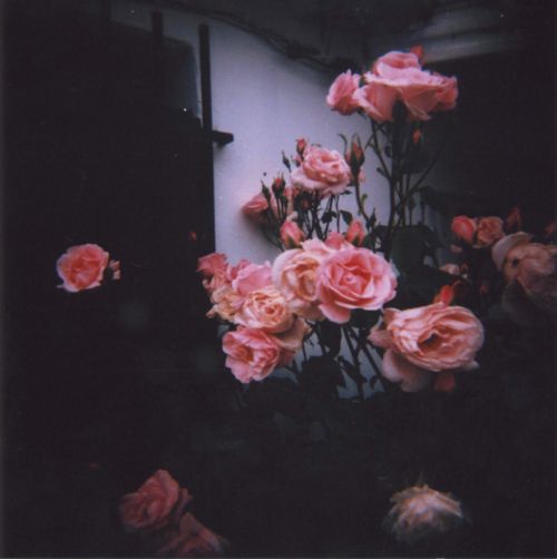 sxptxmbxr svvvg aap rocky 