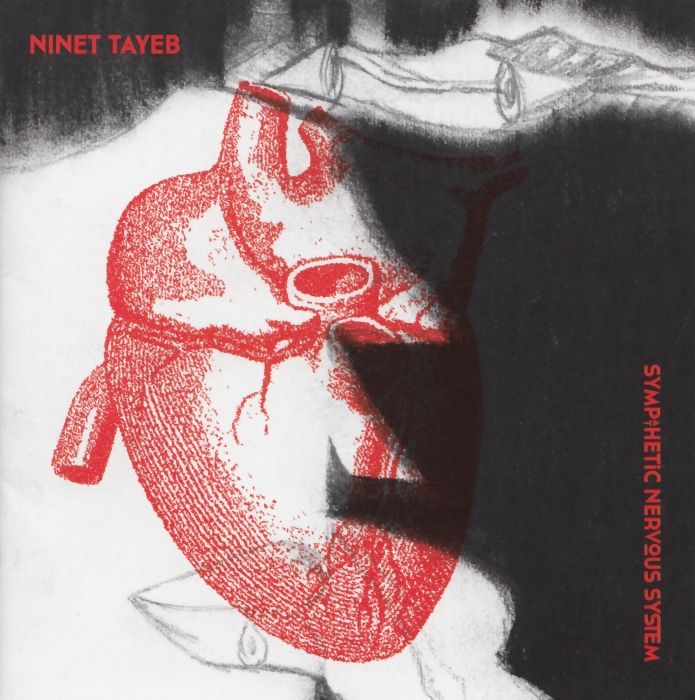 sympathetic nervous ninet tayeb 