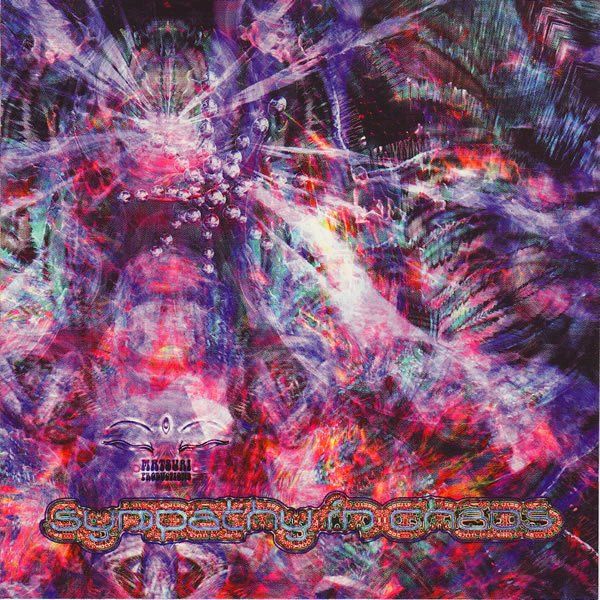 sympathy in chaos anand 