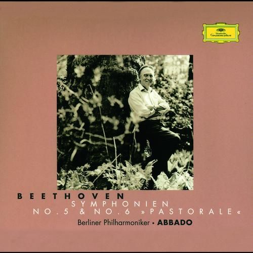 symphonies no 5 am berliner philharmoni 