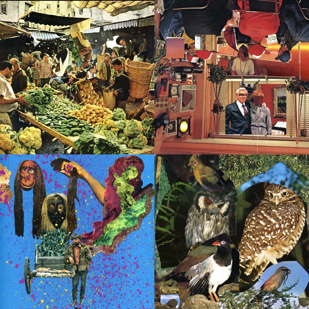 the acrylic widow dylan nyoukis  