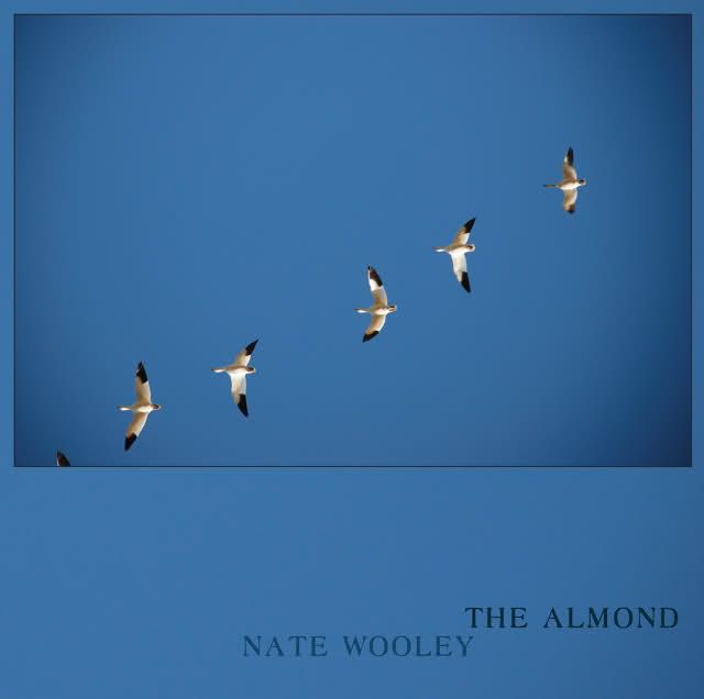 the almond nate wooley 