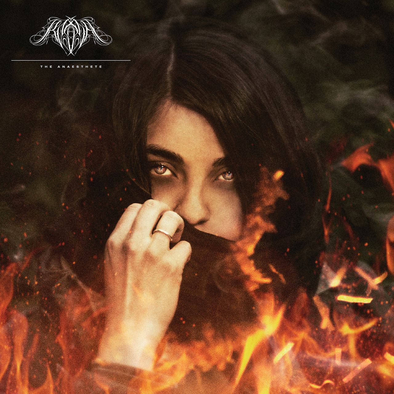 the anaesthete rosetta 