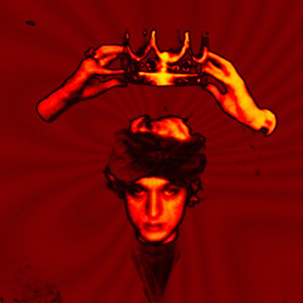 the anatomy of princ prince charming 